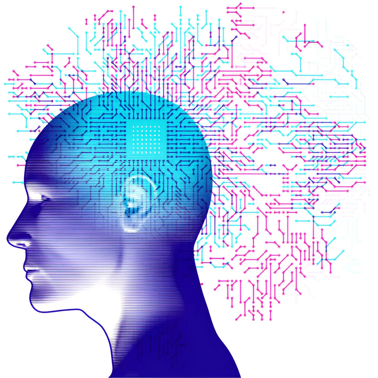 powered by AI for smarter B2B networking