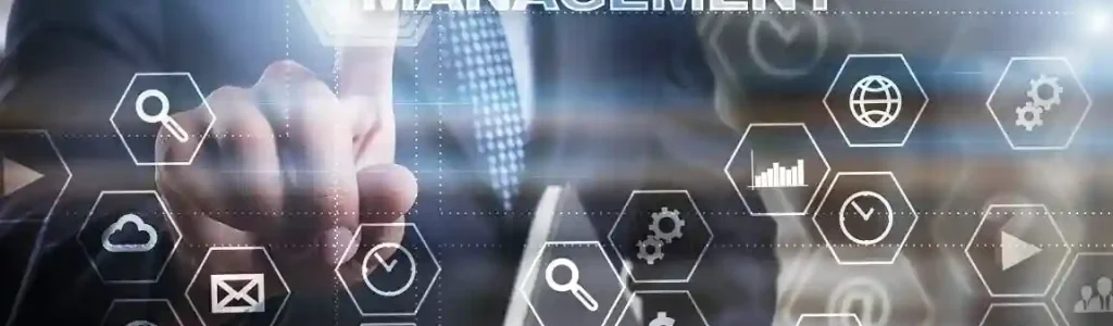 IT Project Management
